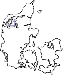 Nykbing Mors i Danmark