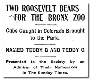 The Roosevelt Bears arrive at the Bronx Zoo, NYT 1906-06-01