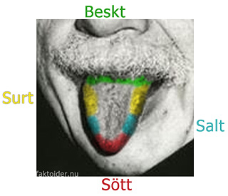 Tungans smakomrden: beskt, surt, salt och sttt